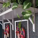 Bohemian Elly 홈스테이 *