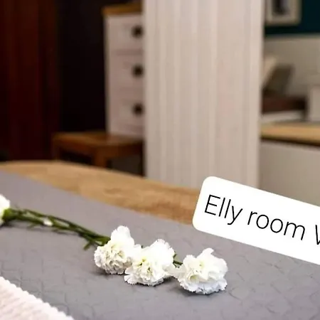 ホームステイ Bohemian Elly *