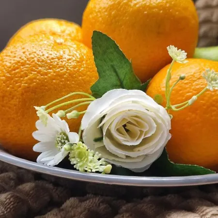 Ubytování v soukromí Bohemian Elly *