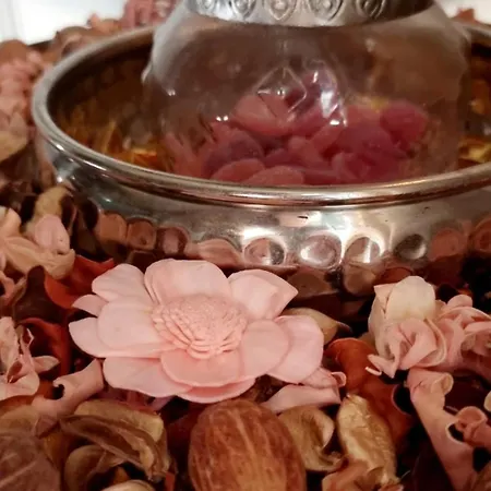 Bohemian Elly Ubytování v soukromí Varna