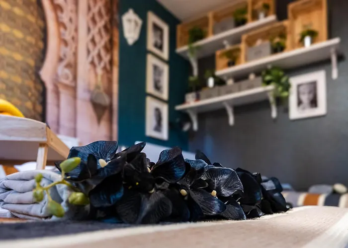 Bohemian Elly Pansiyon Varna