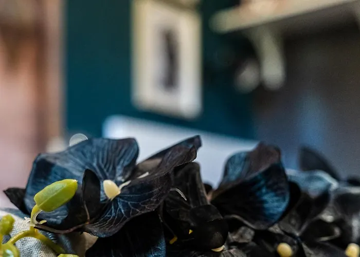 Bohemian Elly Pansiyon *