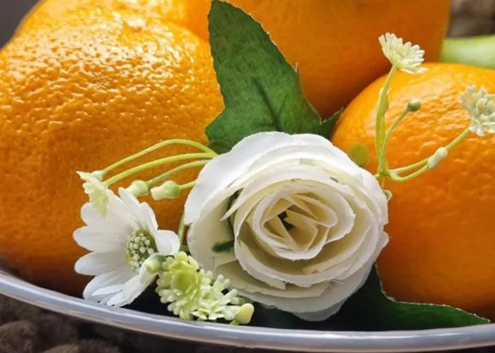 Pansiyon Bohemian Elly *