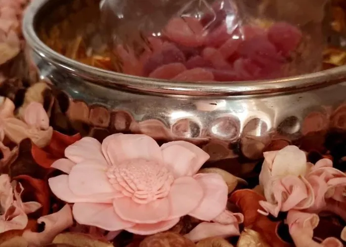 Bohemian Elly Pansiyon Varna