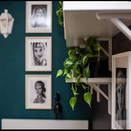 Homestay Bohemian Elly *