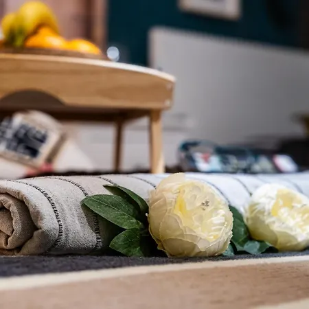 Bohemian Elly Homestay Varna
