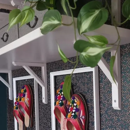 Bohemian Elly Homestay *
